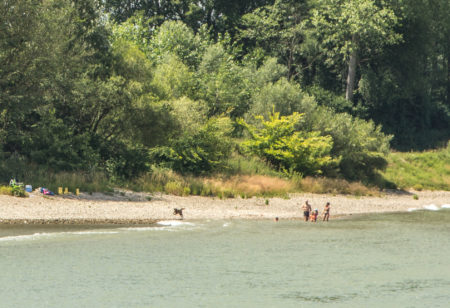 A beira do Rio Danúbio