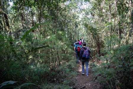 Trilha Serra do Lopo