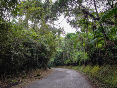 caminho das cachoeiras