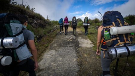 Trilha no Parna Itatiaia