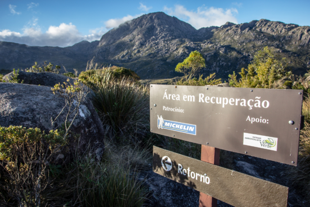 Área em Recuperação